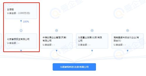 王思聰跨界布局，投資成立半導體制造公司引領技術新浪潮