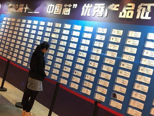 廈門軟件園企業(yè)榮獲“中國芯”優(yōu)秀產(chǎn)品技術(shù)推廣獎，彰顯區(qū)域科技創(chuàng)新實力