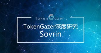 從TokenGazer深度研究看Sovrin 技術(shù)落地可期，但大規(guī)模推廣之路任重道遠